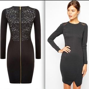 Ted Baker Fitted Zipper Lace Sheath Dress EUC